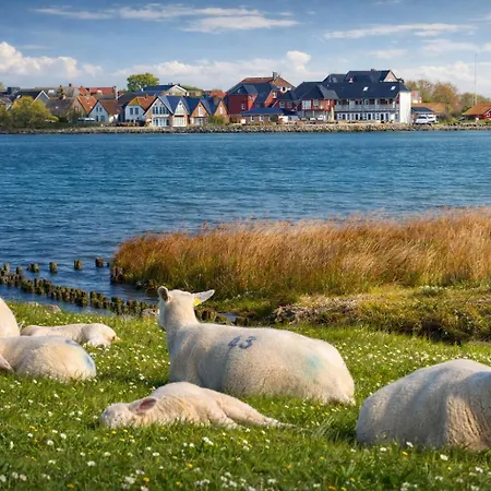 Ort Lemkenhafen Sundbrise Fehmarn