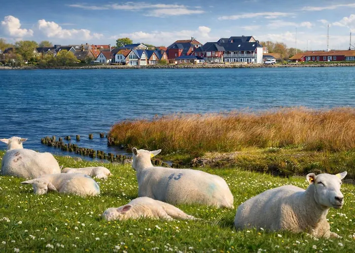 Ort Lemkenhafen Sundbrise Fehmarn